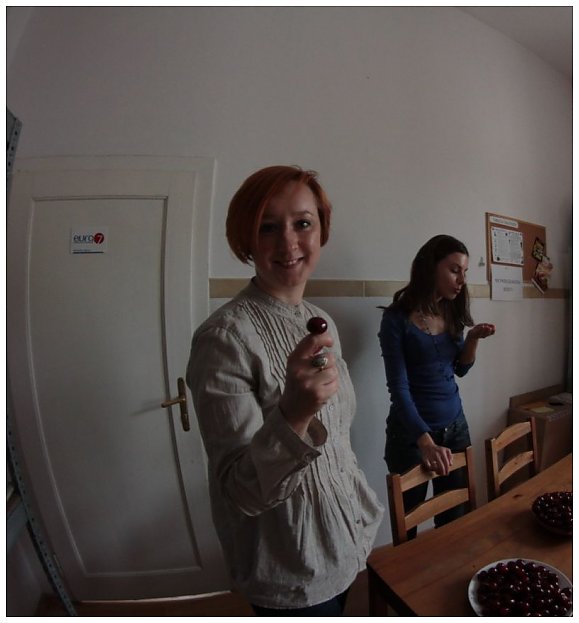 labber.pl