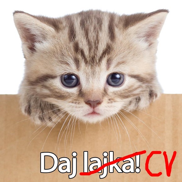 daj cv kotecek
