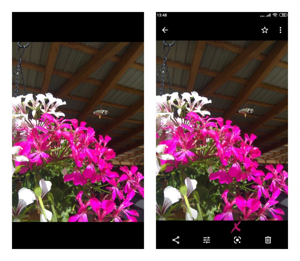google lense instrukcja