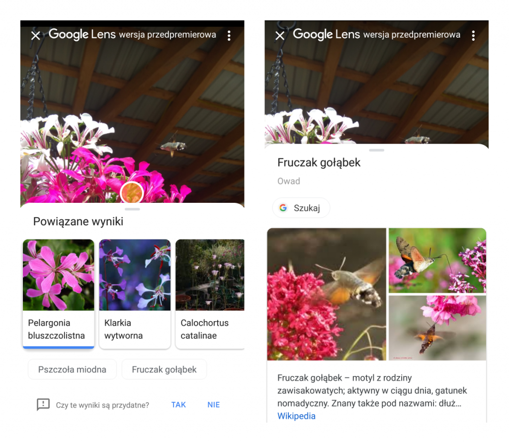 google lens action