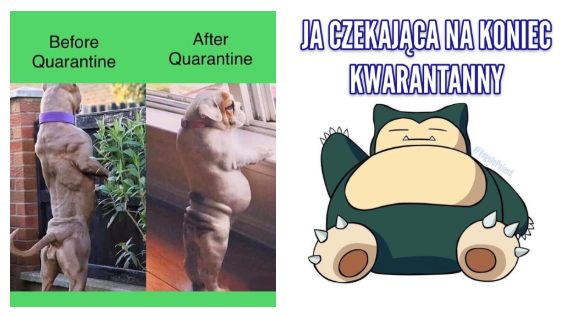 memy o tyciu na kwarantannie