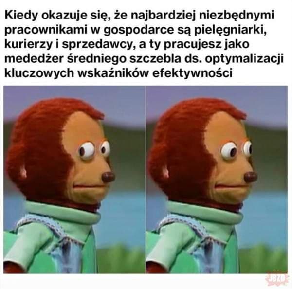 memy o użyteczności pracy