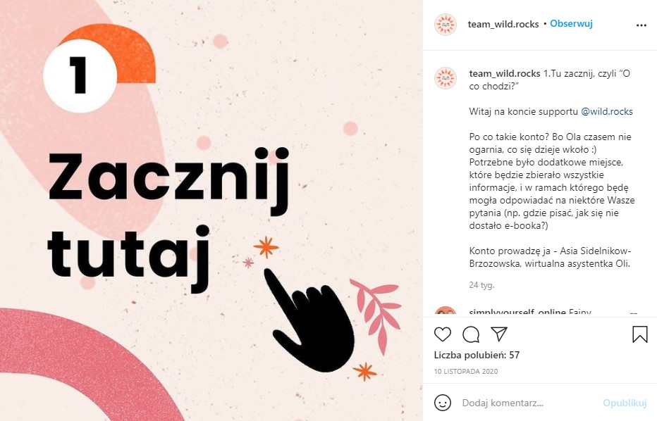 screen posta na IG z konta–wizytówki Wild Rocks